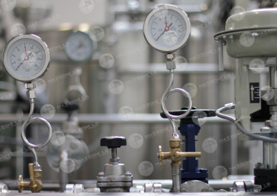ESTERS & SPECIALTY OLEOCHEMICALS